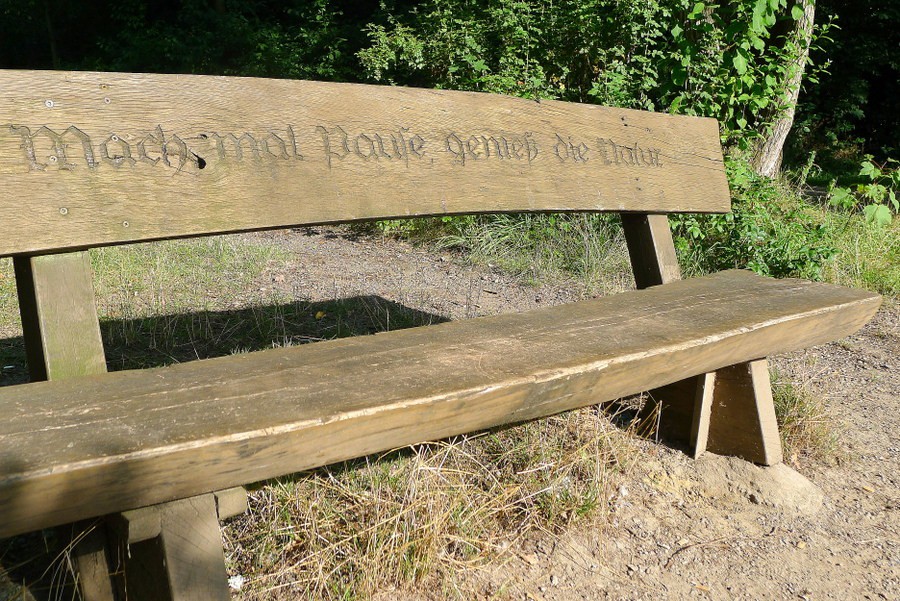 Bank in de natuur in Bremen wijk Oberneuland