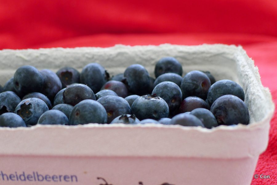 bakje met bosbessen